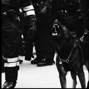 夕阳老人小便正面视频大全
